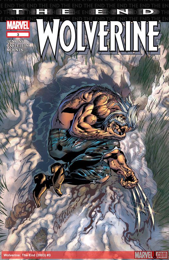 Cover of Wolverine: The End #3