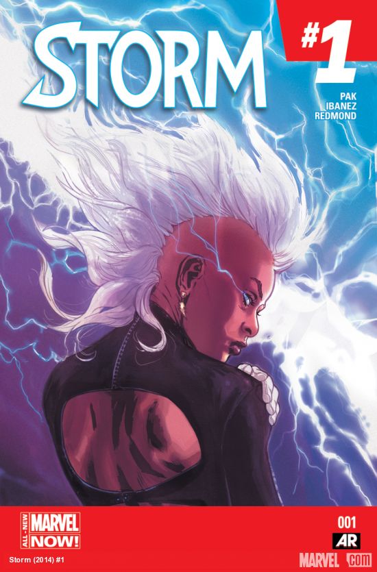 Cover of Storm #1