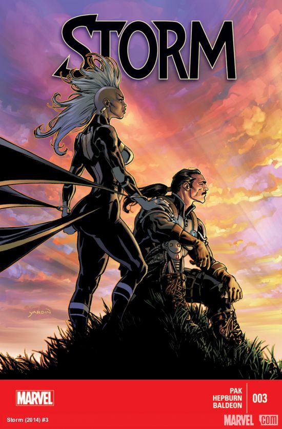 Cover of Storm #3