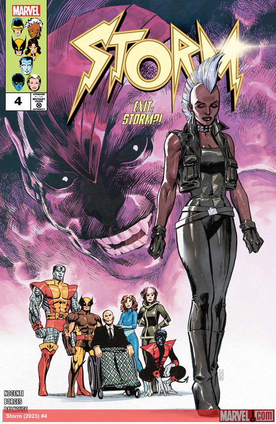 Cover of Storm #4
