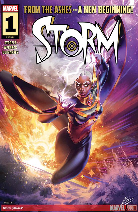 Cover of Storm #1 (12)