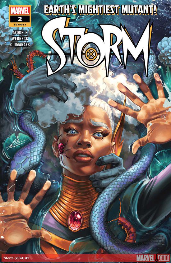 Cover of Storm #2 (13)