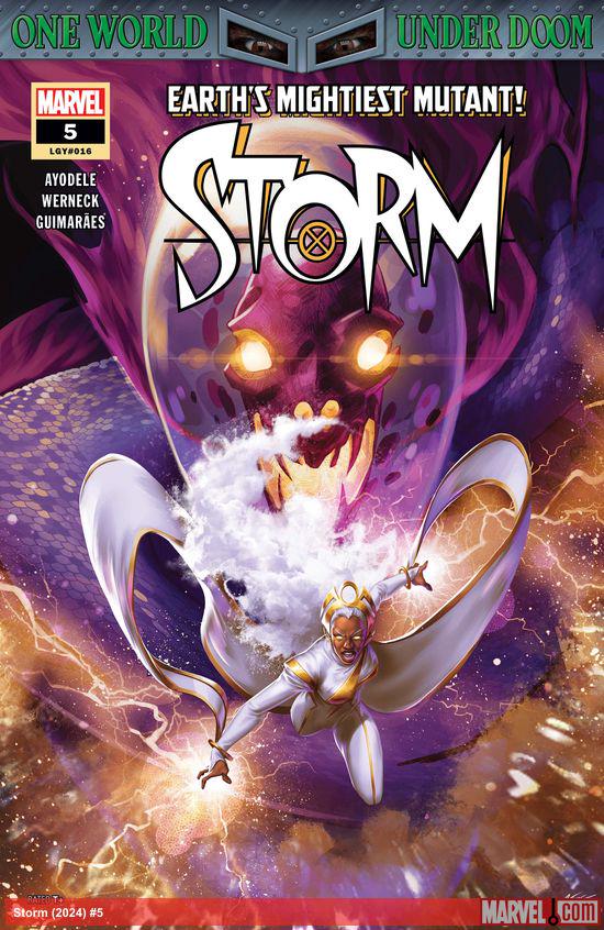 Cover of Storm #5 (16)